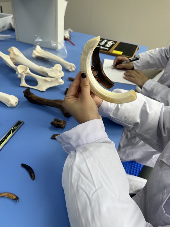 1732240638527999.jpg 微信图片_20241117120006.jpg