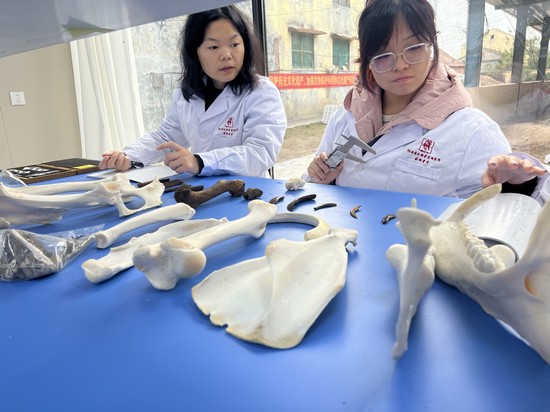 1732240655562855.jpg 微信图片_20241117120004.jpg