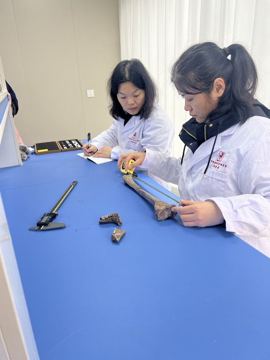 1732240663638161.jpg 微信图片_20241117120025.jpg