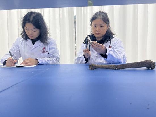 1732240671133682.jpg 微信图片_20241117120029.jpg