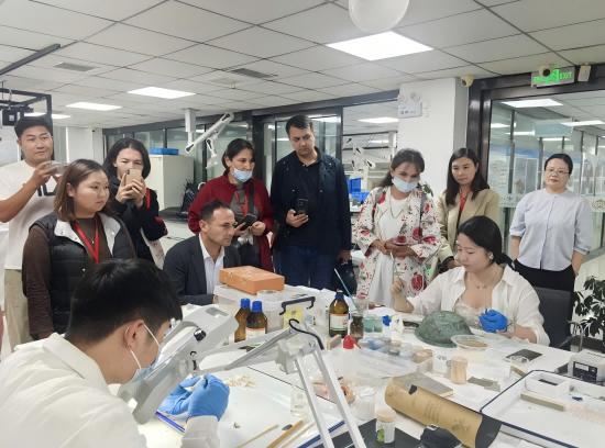 1758101390986933.png 11(1).png