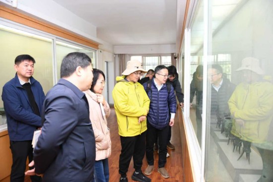 1762307316369772.jpg 图片 3.jpg