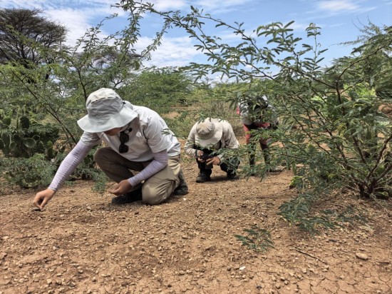 1764902283427348.jpg 图片 2.jpg