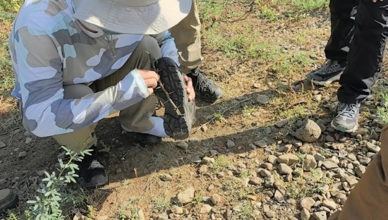 1764902483639882.jpg 图片 11.jpg