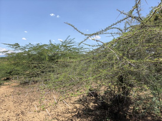 1764902505630028.jpg 图片 12.jpg