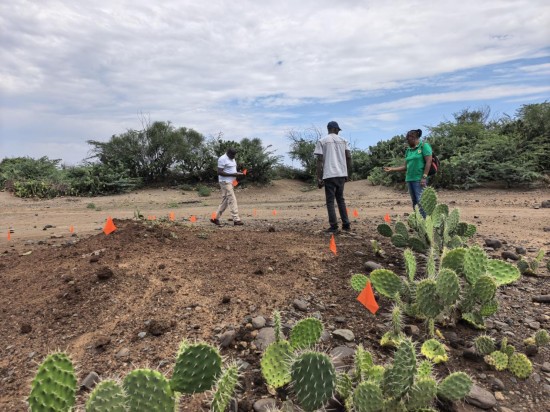 1764902542520684.jpg 图片 14.jpg