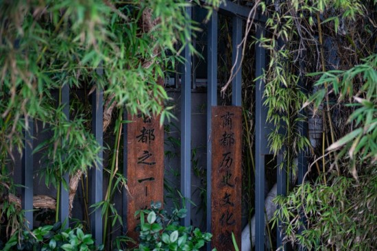 1766046353756025.jpg 图片 4.jpg