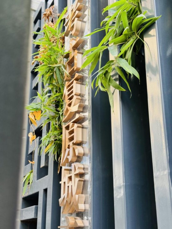 1766046365110849.jpg 图片 5.jpg