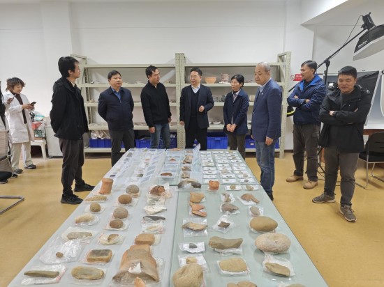 1766047219124090.jpg 图片 7.jpg