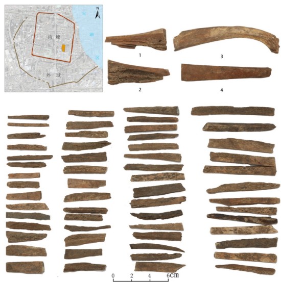 1774840431389265.jpg 图片 8.jpg