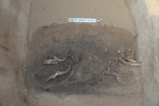 1774840526408457.jpg 图片 13.jpg