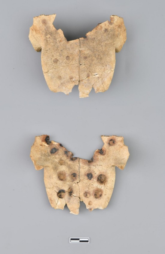 1774840638171223.jpg 图片 15.jpg