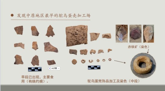 1781511906585232.jpg 图片 7.jpg