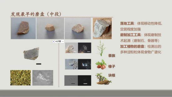 1781511915114662.jpg 图片 8.jpg