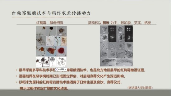 1781511949640485.jpg 图片 11.jpg