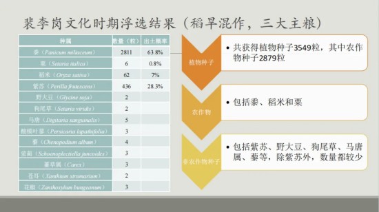 1781511959263698.jpg 图片 12.jpg